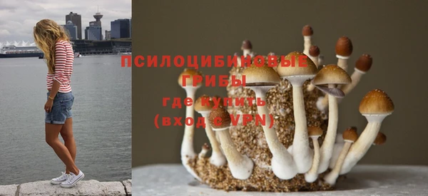 спайс Каменск-Шахтинский